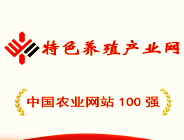 廣告位2