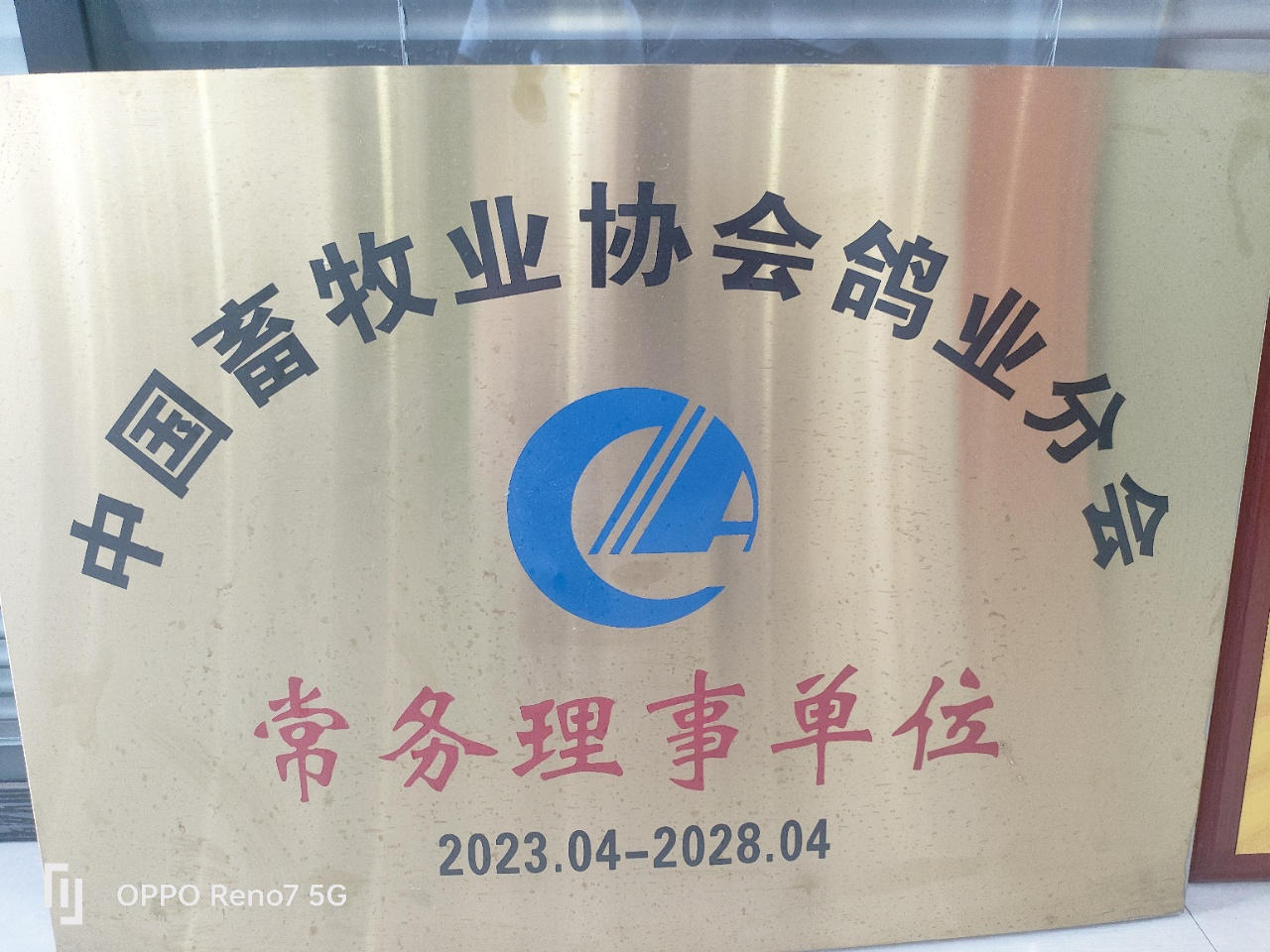 微信圖片_202509171408308_2.jpg